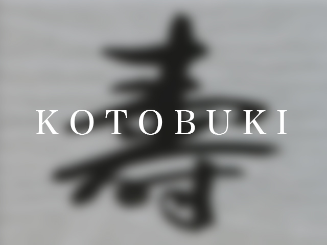 Video Works in KOTOBUKI, YOKOHAMA
